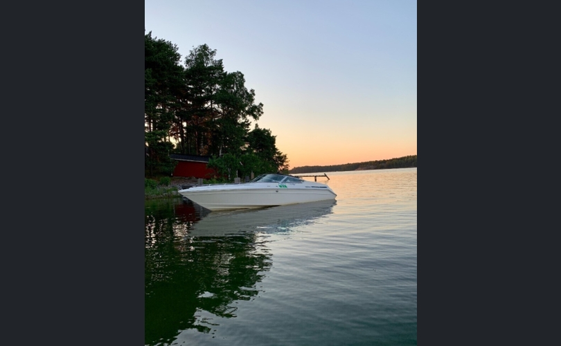 Sea Ray Pachanga-kuva-3